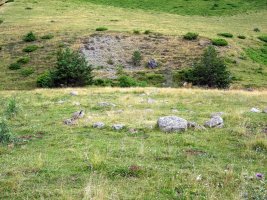 Campo Largo Puente harrespilak