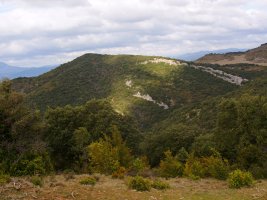 Boluntza-Petrina Peñaskatik 