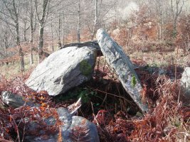 Erroia Gain trikuharria