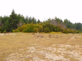 Legarozko trikuharria kanpotik