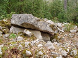 Turendoko trikuharria