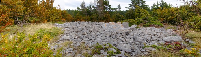 Puntallo de Capezas trikuharria