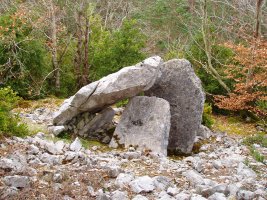 Claverito trikuharria