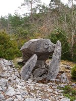 Claverito trikuharria