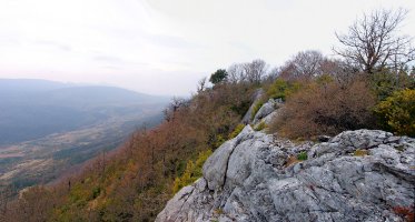 Leziñerako gandorra