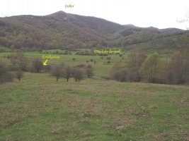 Otsolako larreak Beigañeko hegietatik