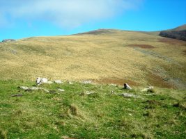 Apatesaro hego  harrespila