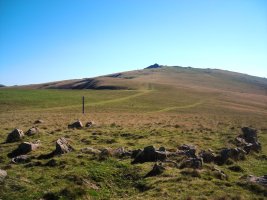 Ilarrita  harrespila