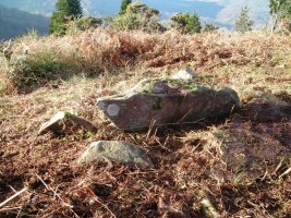 Larria IV trikuharria