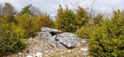 Oiartzabal 1 ipar (Biorreta)