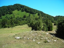 Gurutxaga eremu tumularra