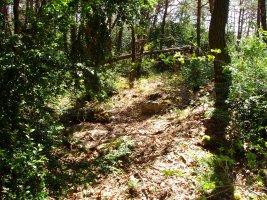 Kabilarte, sasi artean erdi ezkutaturik