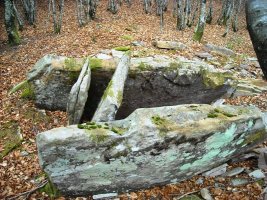 Urrutiña trikuharria