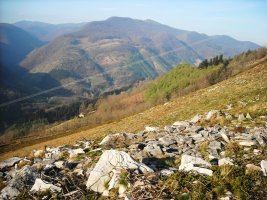 Latargi 1 trikuharria