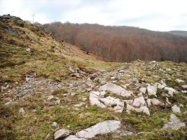 Latargi  3 trikuharria