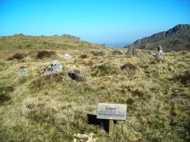 Altsoroi harrespilak