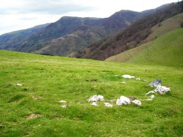 Mailarreta hego harrespila