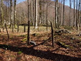 Pitxortzarko gaina 3