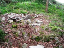 Irastre  trikuharria