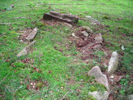 Aritzmendi trikuharria