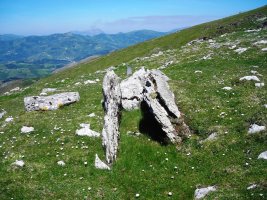 Aranzadi  trikuharria