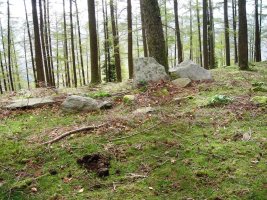 Larrakaitza  trikuharria