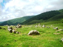 Azpegiko Lepoa harrespilak