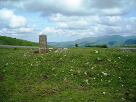 Organbide trikuharria