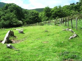 Axpageta hego harrespila