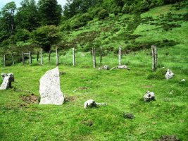 Axpageta hego harrespila