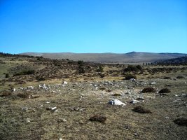 Balsa Fría trikuharria