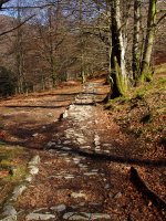 Eltzaburuko galtzadaren arrastoak