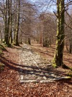 Eltzaburuko galtzadaren arrastoak