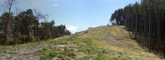 Quiñones gaina, suteen aurkako erretenak ebakia