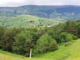 Abodiko gainak hurbil izanen ditugu