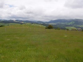 Udiko gailurretiko paisaia zabalak