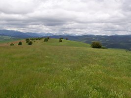 Udiko gailurretiko paisaia zabalak