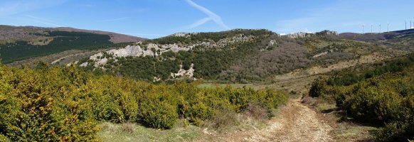 Potxa, eta atzean Txaburu