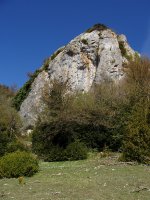 Potxako itxura zirraragarria