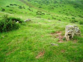 Azpegi ipar harrespila