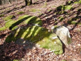 Bixurdiñeta  2  trikuharria