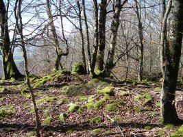 Bixurdiñeta 3  trikuharria