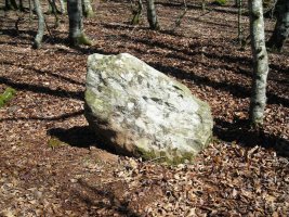 Bixurdiñeta zutarria