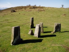 Campo de Ribacobako mugarriak