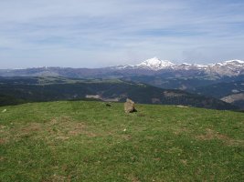 Saitsederrako gailurra