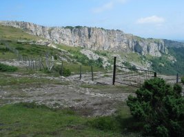 Peña Colorada eta Melaniako ataka