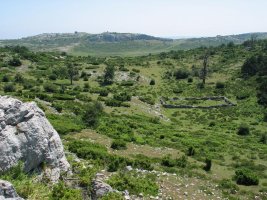 Crucijadas leporako bidea