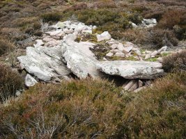 Ansabe   trikuharria