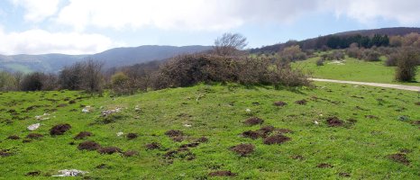 Berrendizelaiko tumulua Zelane lepoan