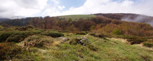 Arriedergaingo gailurra